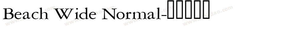 Beach Wide Normal字体转换